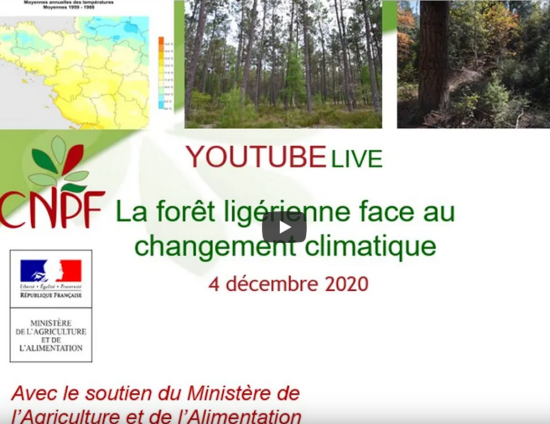 La forêt ligérienne face au changement climatique - replay du 4/12/2020 | CNPF