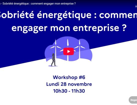 Workshop#6 Sobriété énergétique : comment engager mon entreprise ? | Les entreprises s'engagent