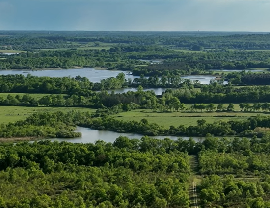 Un havre de paix pour les espèces locales : la Réserve naturelle de Chérine