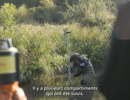 Les suivis écologiques des travaux de restauration du ruisseau de l’Échandon