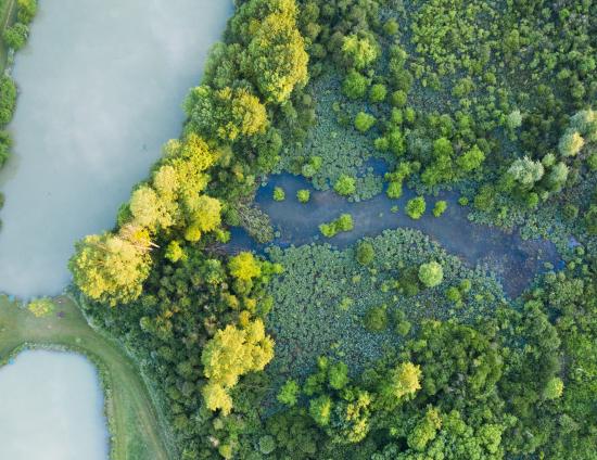 [Pôle Gestion des milieux naturels] Démonstration technique sur les Pelouses et Marais de Roussy (Indre)