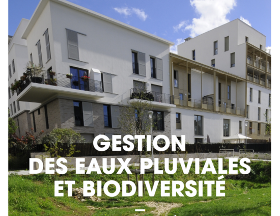 Gestion des eaux pluviales et biodiversité | ARB Île-de-France