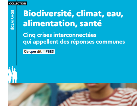 Biodiversité, climat, eau, alimentation, santé : 5 crises interconnectées, le rapport de l'IPBES | OFB