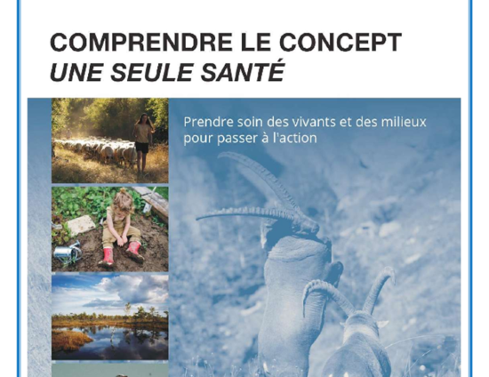Comprendre le concept "Une seule santé" | UICN