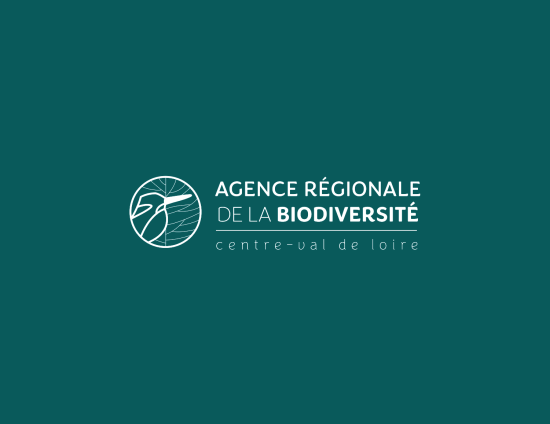 Les forestiers de l'ONF aident la forêt à s'adapter