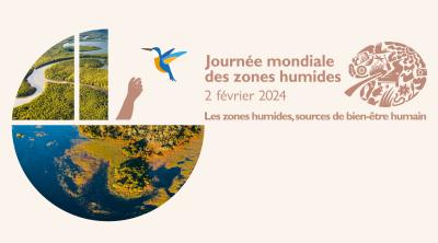 [Mois des zones humides 2024] Animations en région