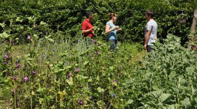 Bienvenue dans mon jardin au naturel