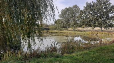 Forum Solutions fondées sur la Nature 2022 | Life ARTISAN