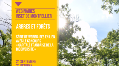webi#2 - Arbres forêts et biodiversité : Faire rimer gestion forestière, biodiversité et multifonctionnalité