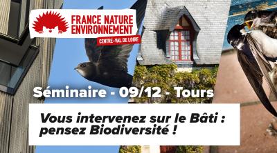 Séminaire - VOUS INTERVENEZ SUR LE BÂTI : PENSEZ BIODIVERSITÉ ! | FNE Centre-Val de Loire