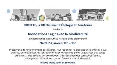 [Webinaire] « Inondations : agir avec la biodiversité » -Réseau COMETE 