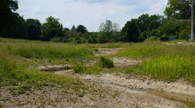 Restauration des cours d'eau: approche à large échelle | OFB et OIEau
