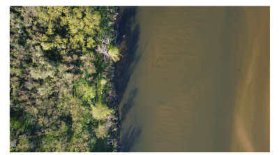 Comment renforcer la coopération et la construction de projets entre chercheurs et gestionnaires sur le bassin de la Loire ? | pôle Loire de la Fédération des Conservatoires d’espaces naturels & Zone Atelier Loire.