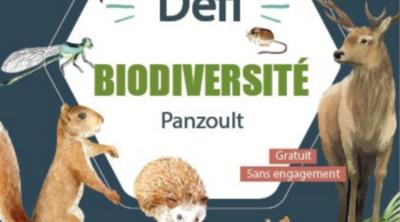 Défi citoyen pour la biodiversité à Panzoult (37) - Découverte des espèces rares et/ou patrimoniales