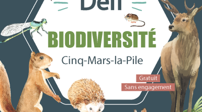 Défi citoyen pour la biodiversité à Cinq-Mars-la-Pile (37) - Découverte des espèces rares et/ou patrimoniales