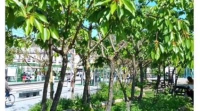 Premières assises internationales des paysages comestibles fruitiers dans la cité |