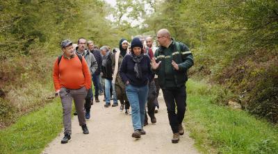 Tous en forêt : 4 sorties en Val de Loire ! | ONF