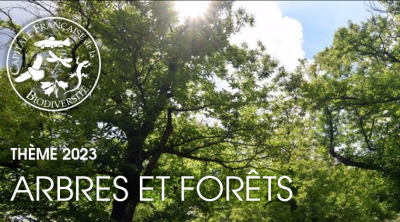 Les territoires agissent pour les arbres, le bocage et la forêt | colloque de restitution Capitale Française de la Biodiversité