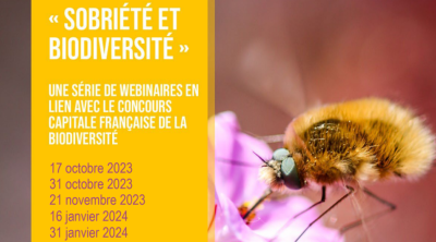 Sobriété, un atout pour la biodiversité | CNFPT