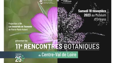 Rencontres botaniques du Centre-Val de Loire