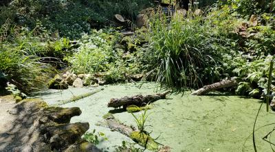 Rencontre Annuelle EcoJardin 2024 | Plante et Cité et ARB IdF