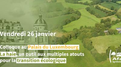 La haie, un outil aux multiples atouts pour la transition écologique | Afac-Agroforesteries