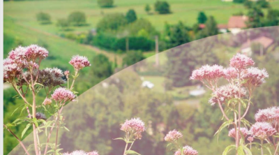 « Atlas de la biodiversité communale » et retour d’expérience de Saint-Anne
