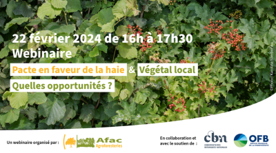 Pacte en faveur de la haie et Végétal local : Quelles opportunités ? | AFAC-Agroforesteries