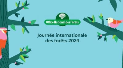 Journée internationale des forêts à Cheillé (37)