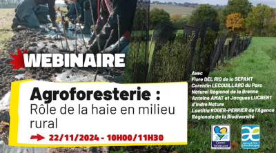 Agroforesterie - rôle de la haie en milieu rural | FNE Centre-Val de Loire