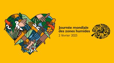 [Mois des zones humides 2025] Animations en région