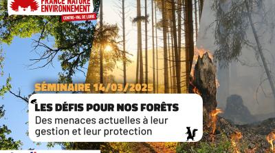 Les défis pour nos forêts, des menaces actuelles à leur gestion et leur protection | FNE Centre-Val de Loire