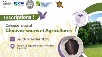 Colloque national Chauves-souris et Agricultures | FCEN