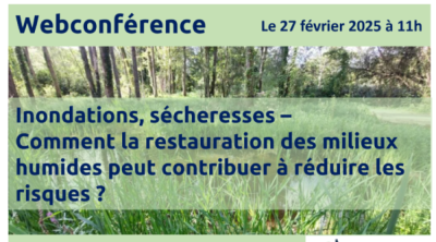 Inondations, sécheresses – Comment la restauration des milieux humides peut contribuer à réduire les risques ? | Pôle-relais Mares et Vallées alluviales