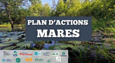 Présentation du Plan d'Actions Mares National | SNPN