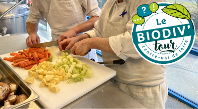 //COMPLET// Biodiv'tour : visite du champ à l'assiette pour une cantine bio et locale à Fondettes (37)
