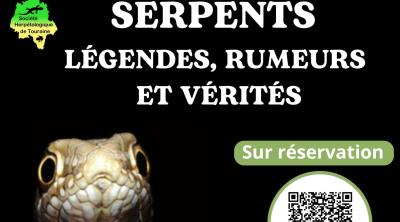 Serpents : légendes, rumeurs et vérités
