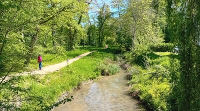 Les balades du vivant à l'île de la Bionne (45)