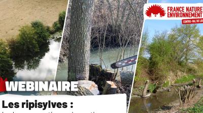Les ripisylves : les bonnes pratiques de gestion pour leur protection et leur valorisation | FNE Centre-Val de Loire