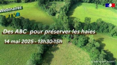 Des Atlas de la biodiversité communale pour préserver les haies | CdR TVB - OFB