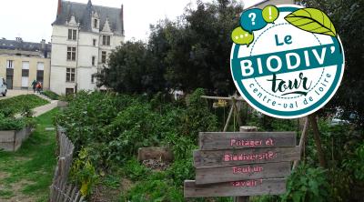 Biodiv'tour : visite autour de la végétalisation et la citoyenneté à Tours (37)