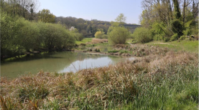 39e Arborencontre : Arbres et arbustes, des alliés naturels pour limiter le ruissellement et les inondations
