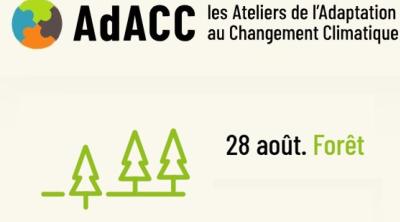 Ateliers de l'Adaptation : Milieu Forestier