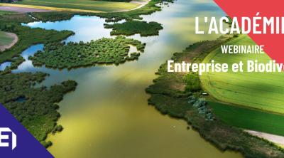 Biodiversité & Territoires : enjeux et mobilisation des acteurs économiques | MEDEF France
