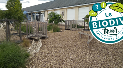 Biodiv'tour : visite autour d'une cour d'école désimperméabilisée à Saint-Ouen (41)