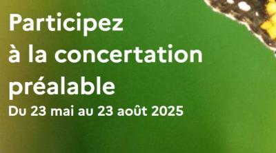 Règlement Restauration de la Nature : Les pollinisateurs