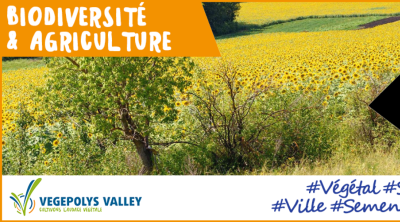 Journée "Agricutlure et Biodiversité" | Végépolys-Valley