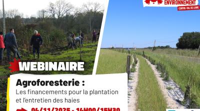Agroforesterie : les financements pour la plantation et l'entretien des haies | FNE Centre-Val de Loire