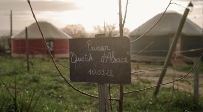Visites techniques 2025 : Végétalisation et alimentation, créer du lien et de la solidarité | CPIE BB
