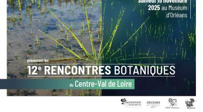 Rencontres botaniques du Centre-Val de Loire